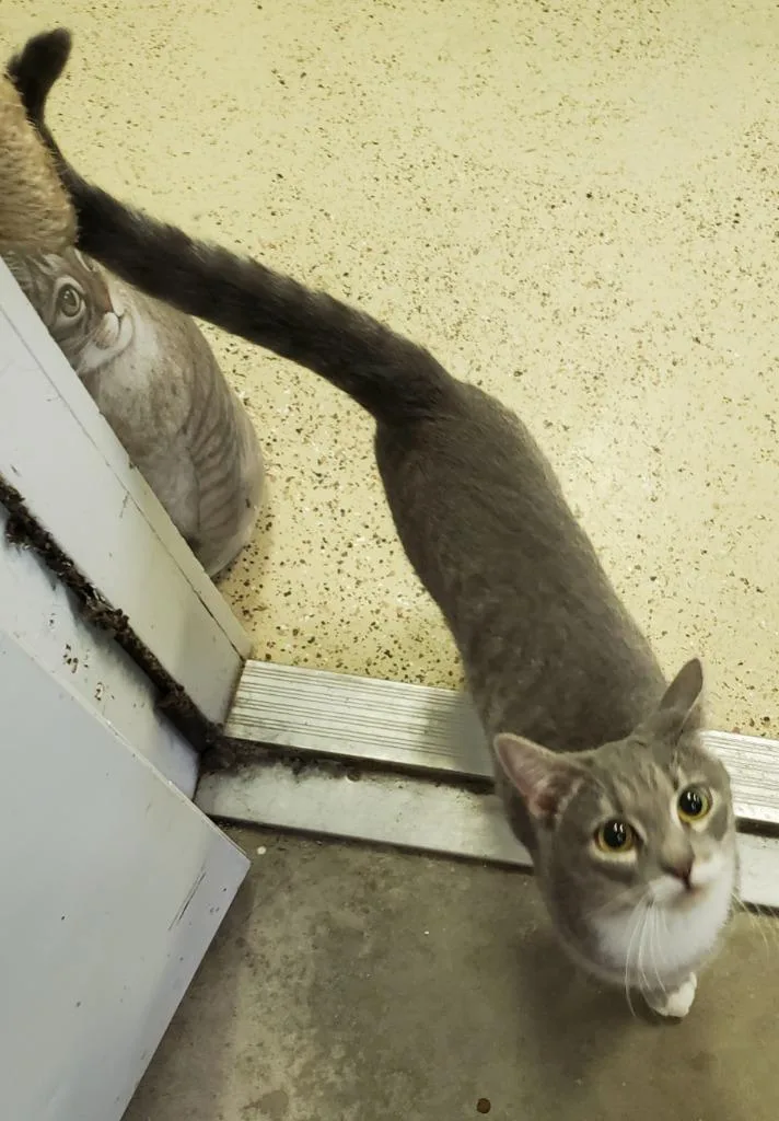 Miams. Annette thumbnail 2