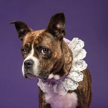 Princess thumbnail 2