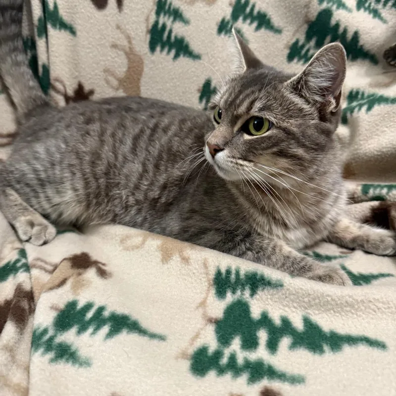 Mama Taki thumbnail 2