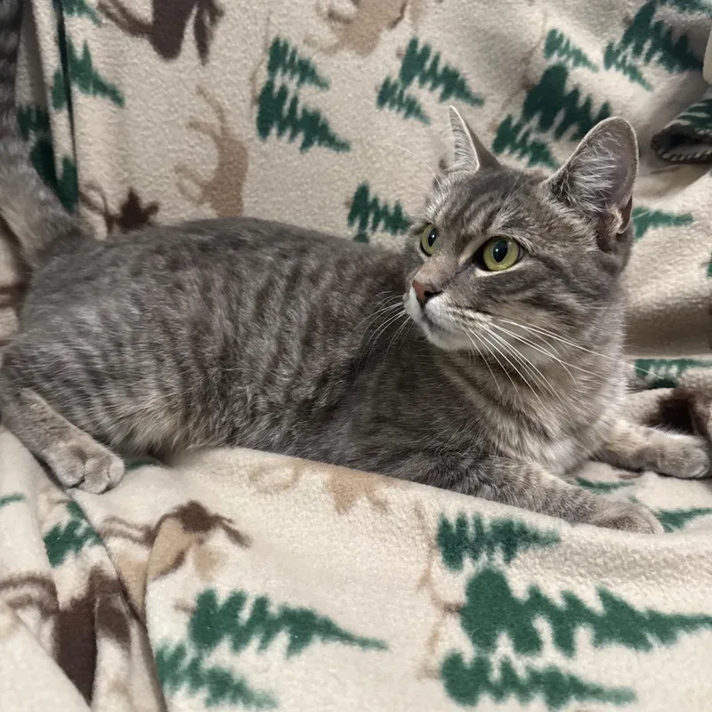 Mama Taki thumbnail 4