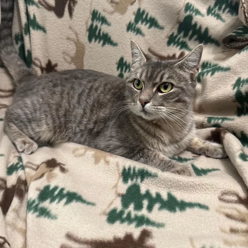 Mama Taki thumbnail 5