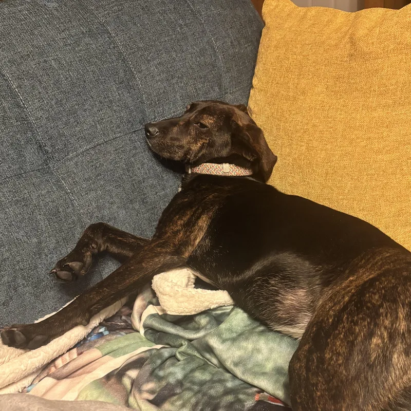 Sea Salt thumbnail 2