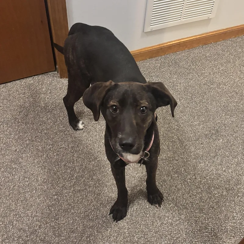 Sea Salt thumbnail 4