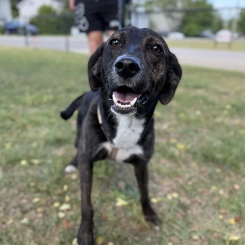 Sea Salt thumbnail 6