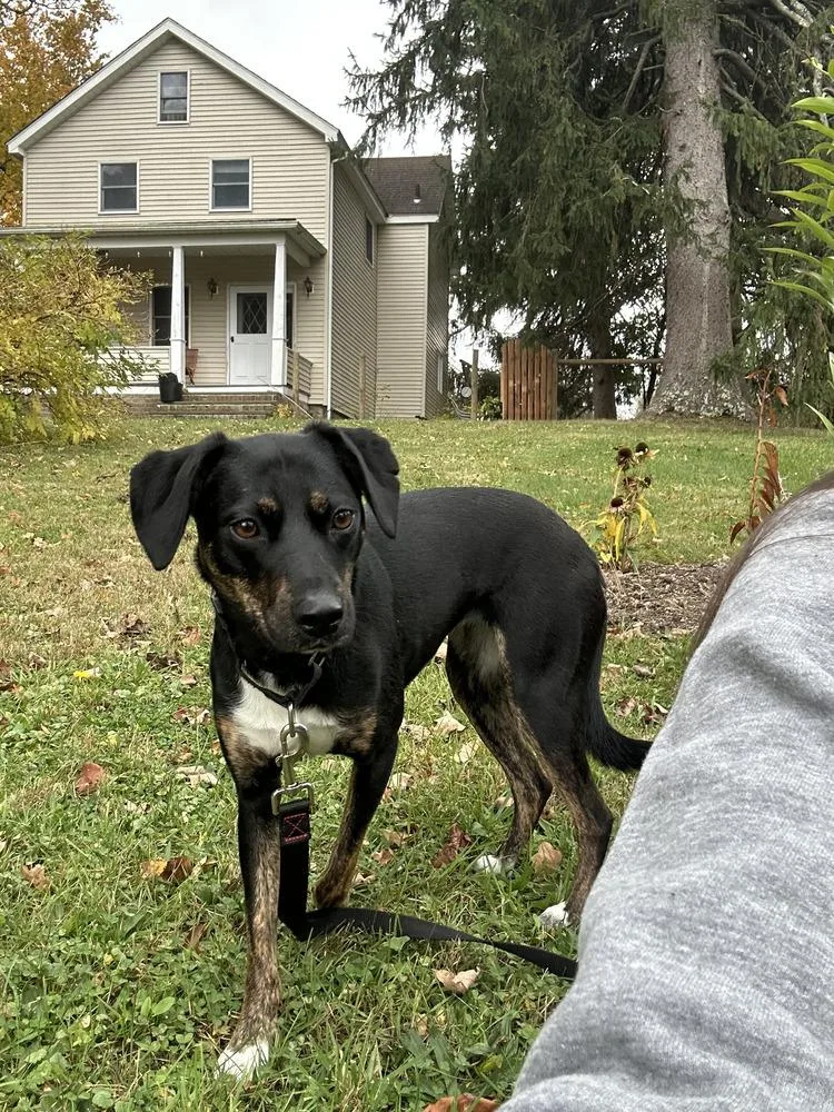 Shiloh