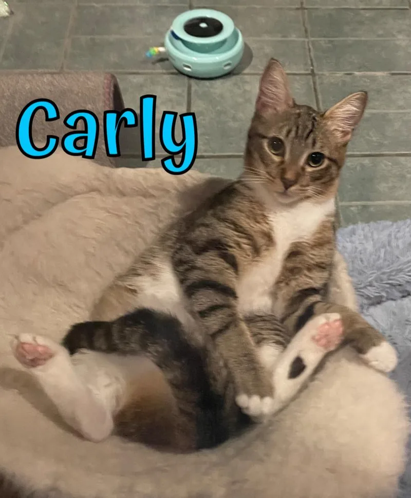 Carly thumbnail 2