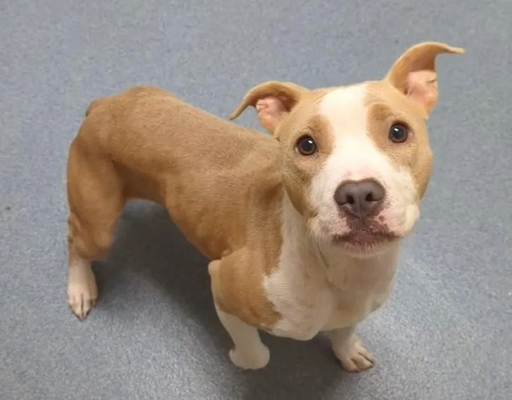 Talula thumbnail 2