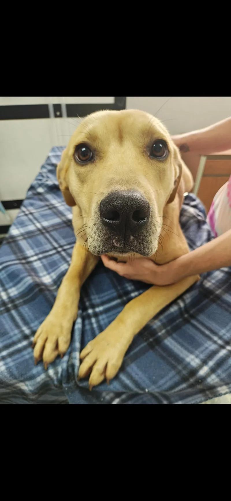 Mama Sunny thumbnail 2