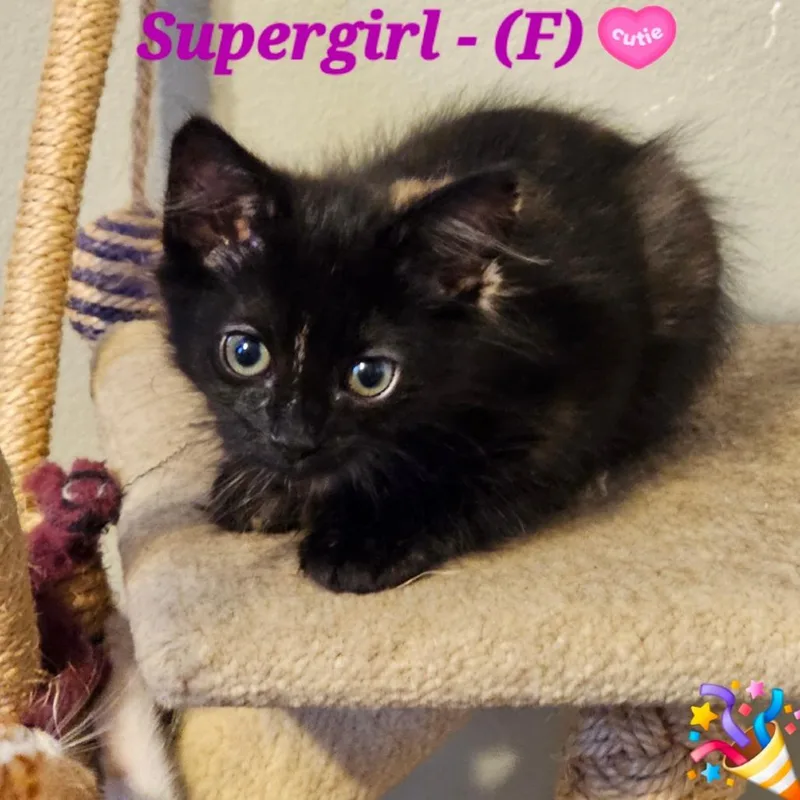 Supergirl thumbnail 2