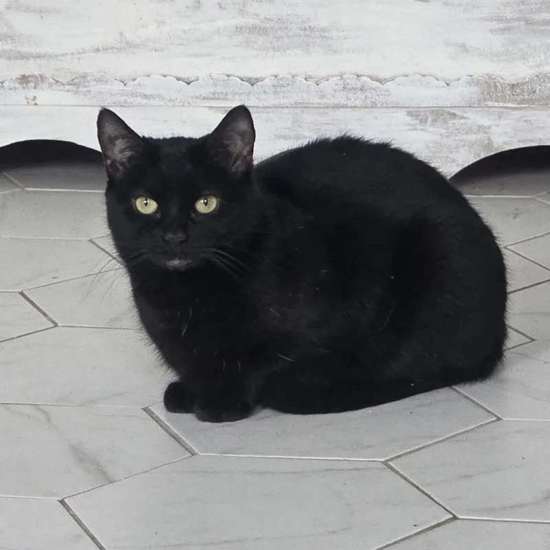 Elaine Benes thumbnail 2