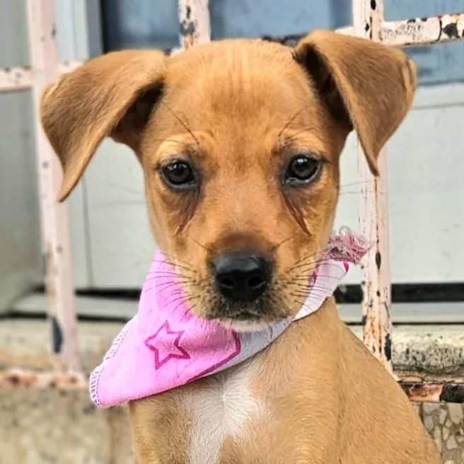 Riwby "i Am Waiting thumbnail 2