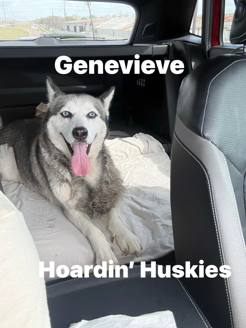 Genevieve thumbnail 3