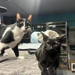 Rory And Walle thumbnail 3