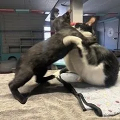 Rory And Walle thumbnail 6