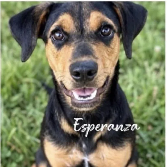 Esperanza thumbnail 2