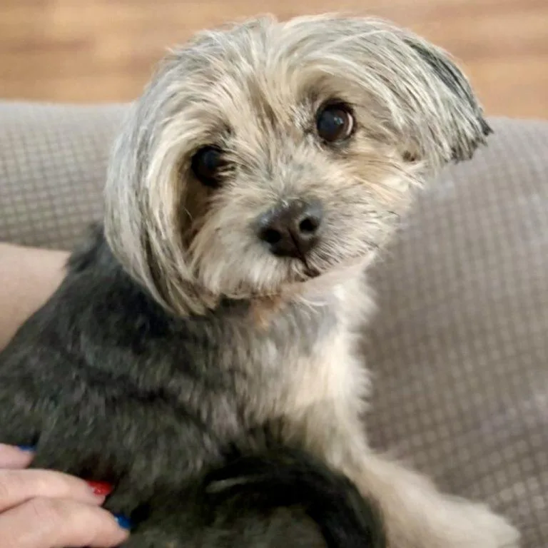 Frannie thumbnail 2