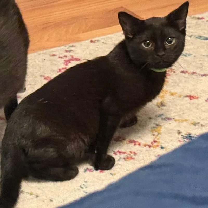 W&m: Miles Hobbs thumbnail 2