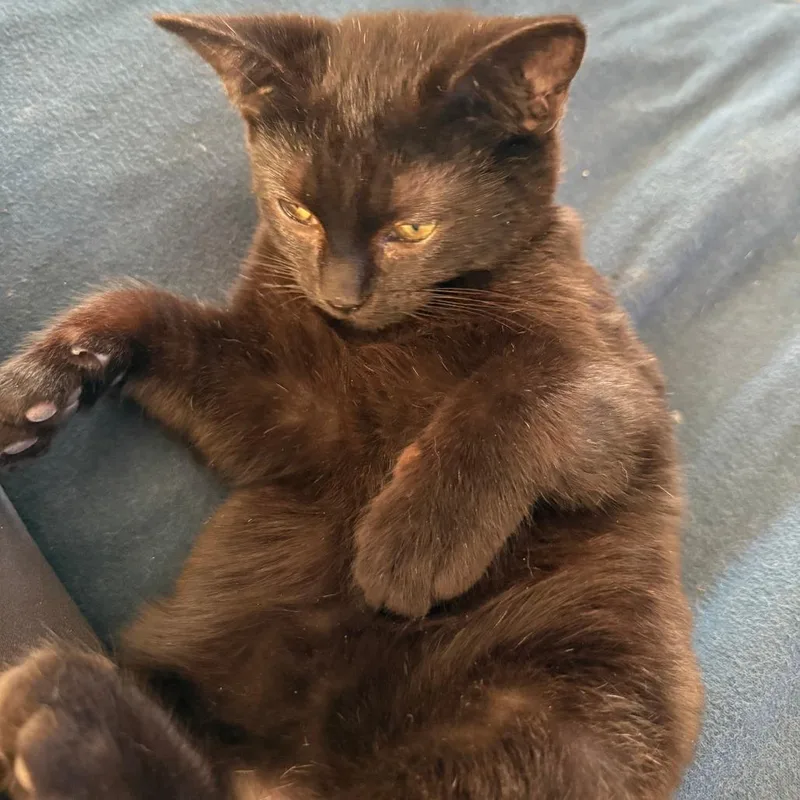 W&m: Miles Hobbs thumbnail 3