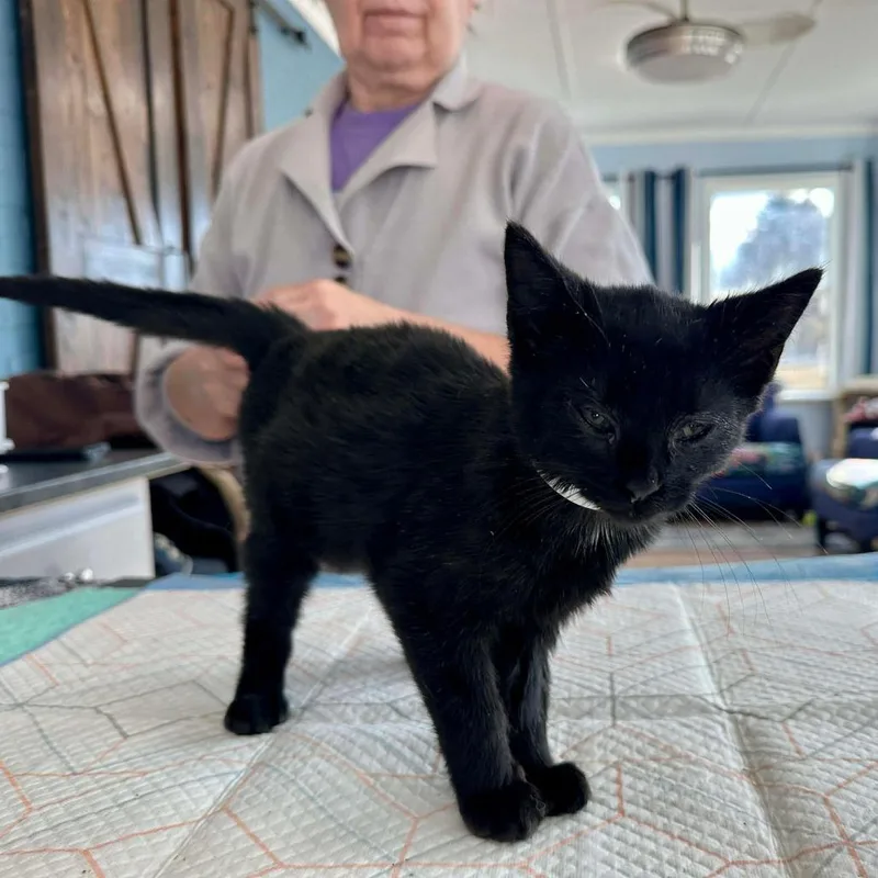 W&m: Miles Hobbs thumbnail 4