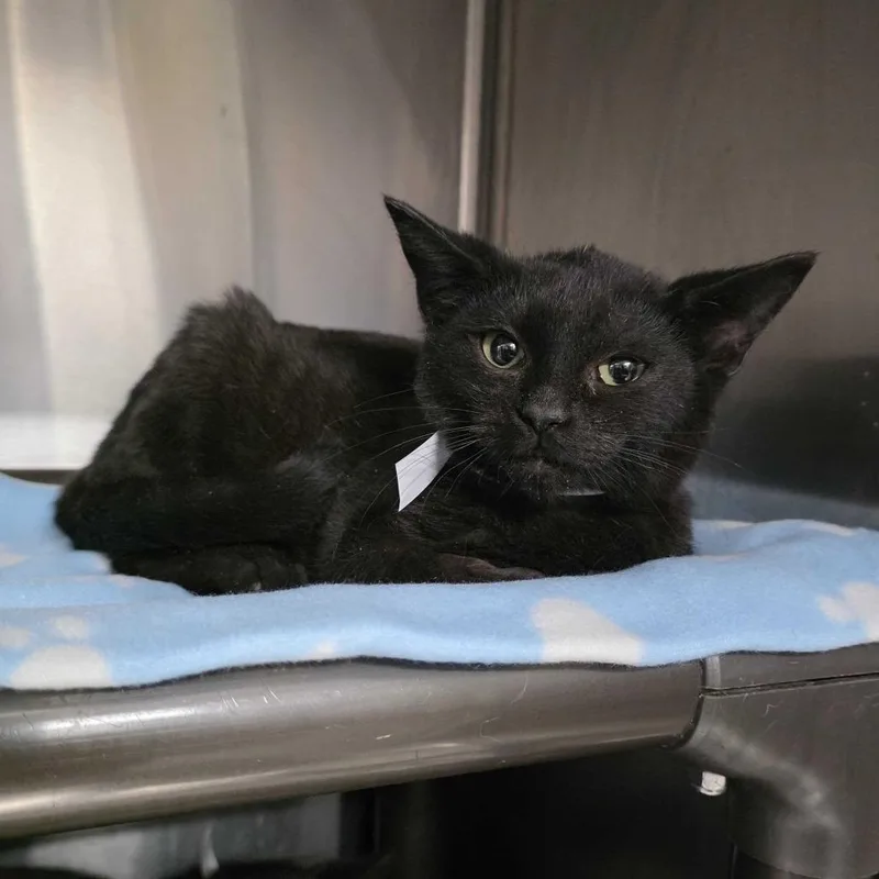 W&m: Miles Hobbs thumbnail 5