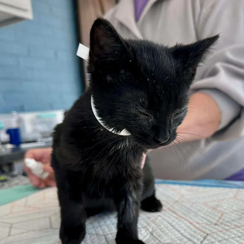 W&m: Miles Hobbs thumbnail 6