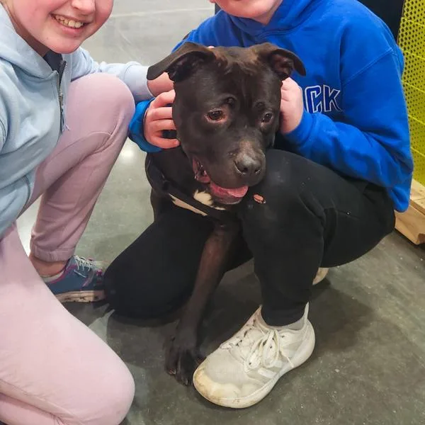 Rigatoni thumbnail 4