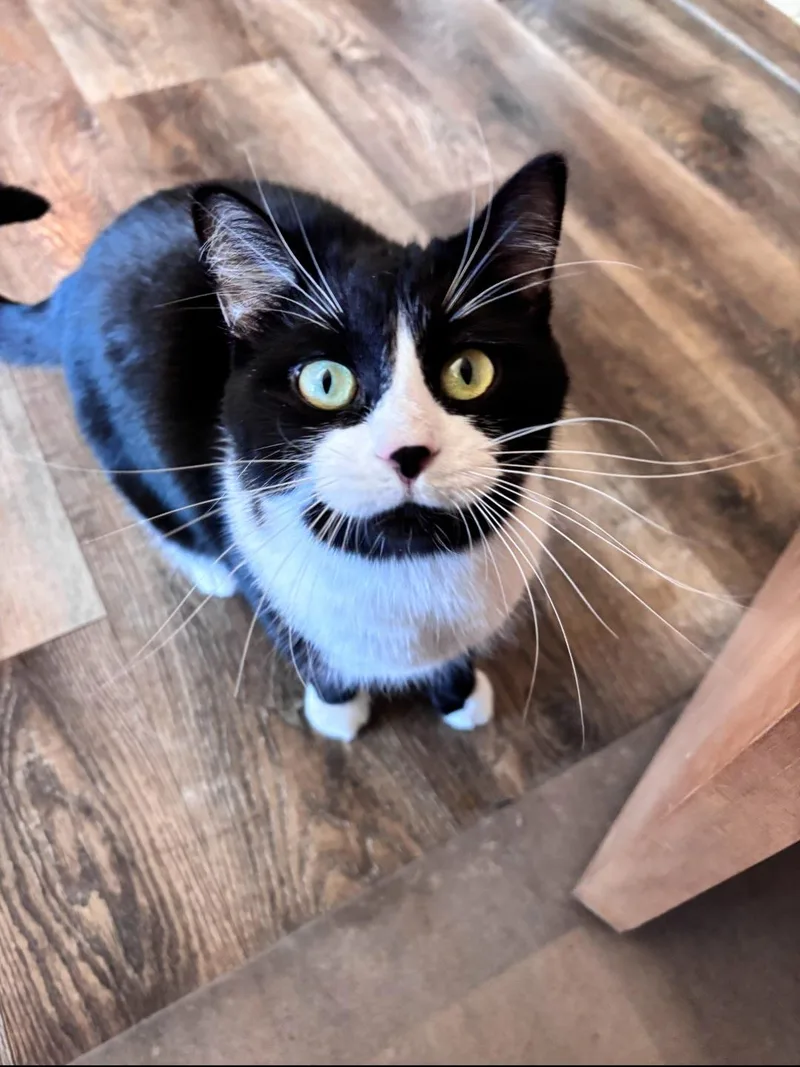 Rosalina thumbnail 2