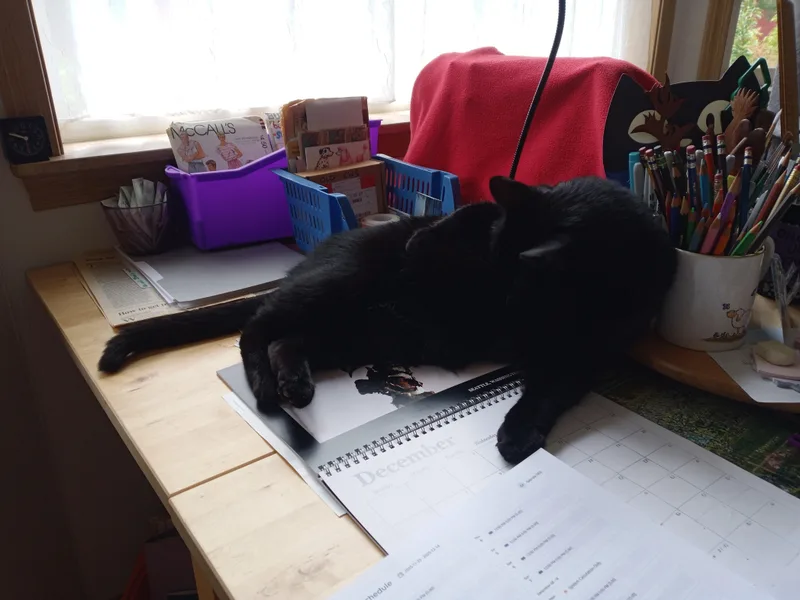 Binx thumbnail 6