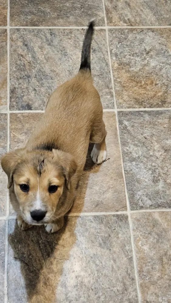 Saturday thumbnail 2