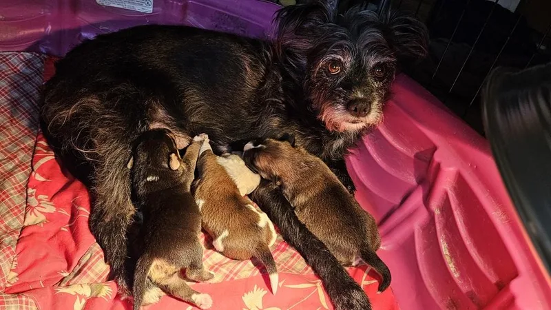 Saturday thumbnail 3