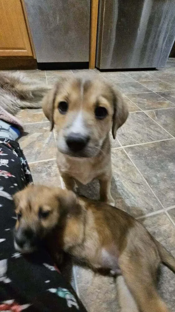 Saturday thumbnail 4