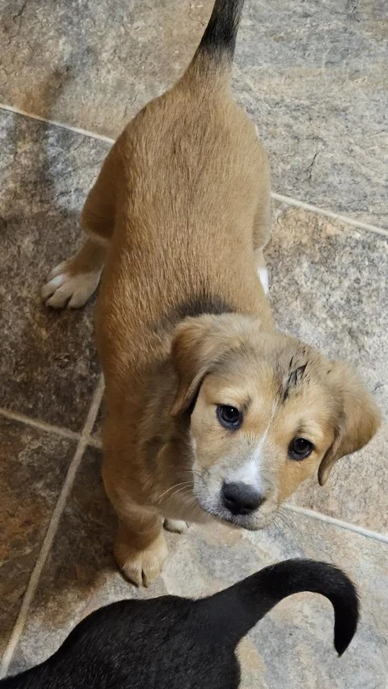 Saturday thumbnail 5