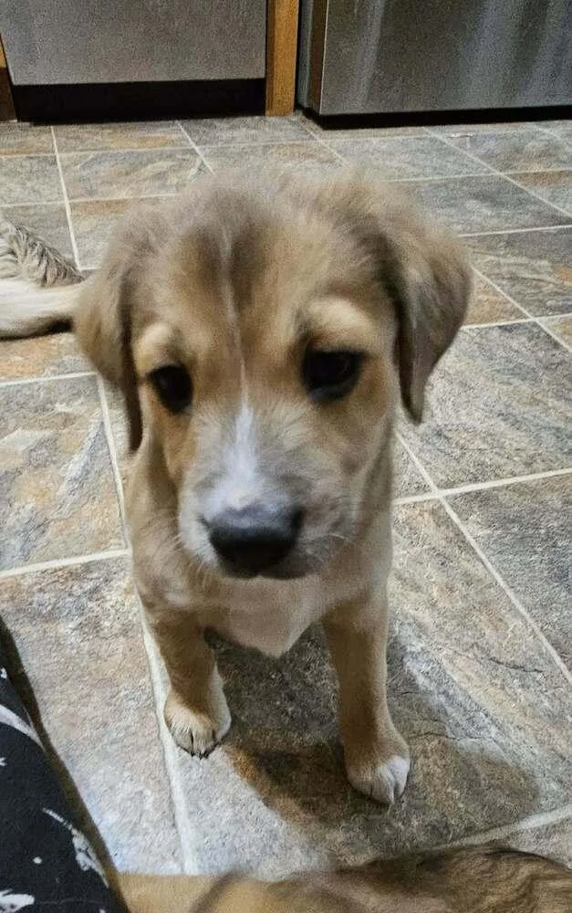 Saturday thumbnail 6