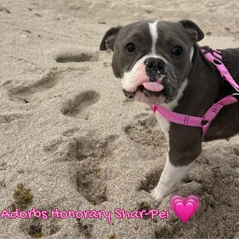 Lollita Lempicka thumbnail 3