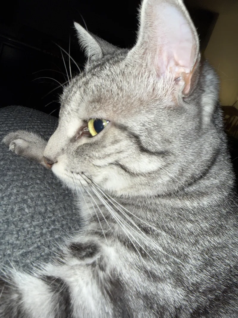 Salem thumbnail 2