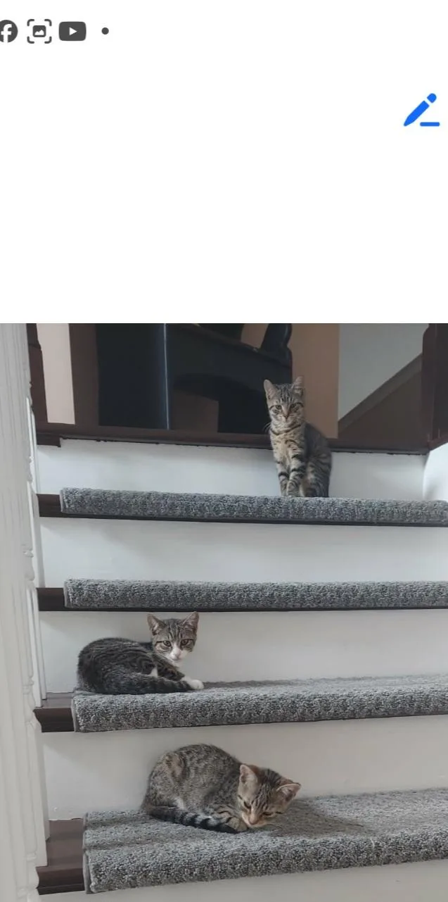 Ruby and Gracie thumbnail 2