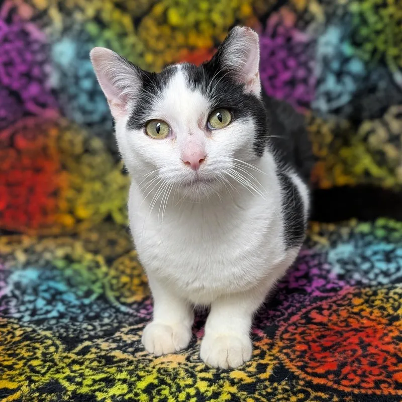 Lightning thumbnail 2