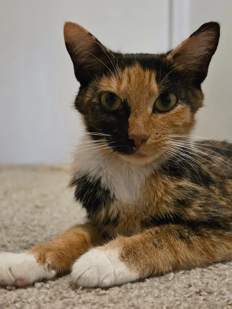 Marceline thumbnail 2