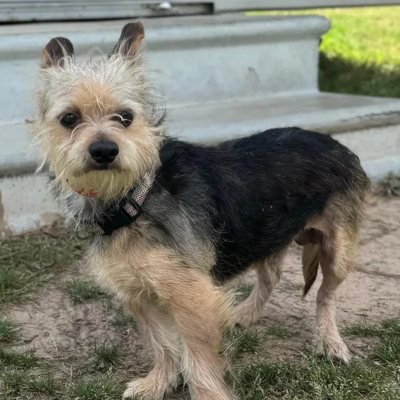 Thomas O'malley thumbnail 4