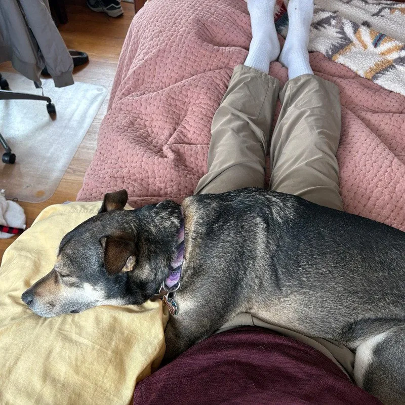 Ramona Quimby thumbnail 2