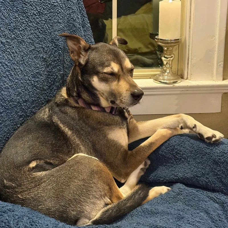 Ramona Quimby thumbnail 3