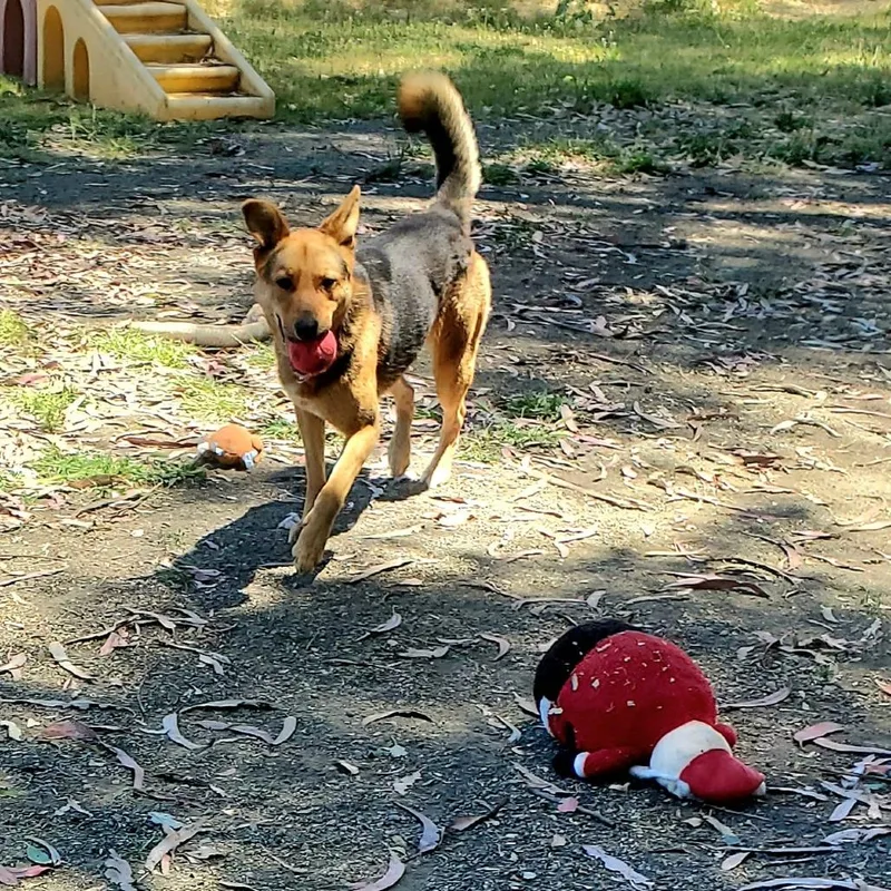 Kobe Renee thumbnail 2