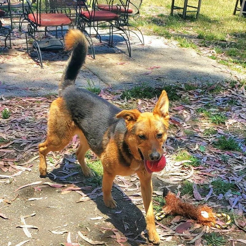 Kobe Renee thumbnail 3