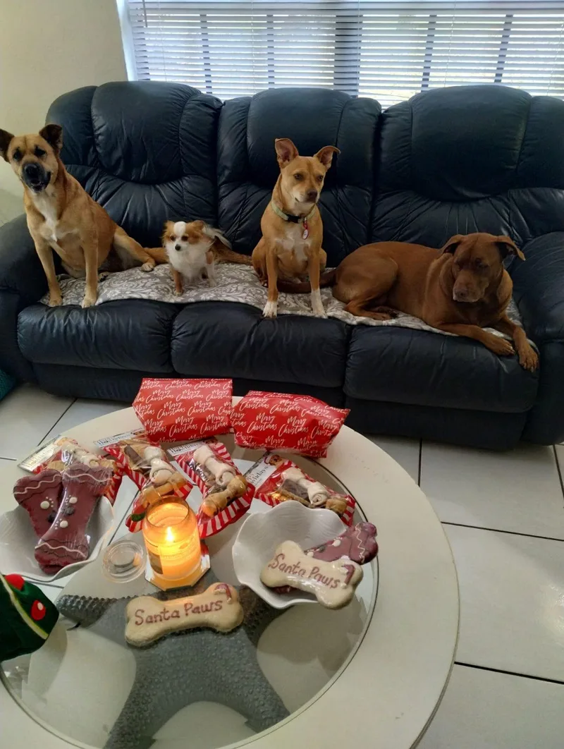 Perfect Gentleman!! thumbnail 2