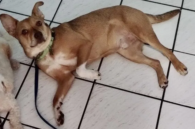 Perfect Gentleman!! thumbnail 3