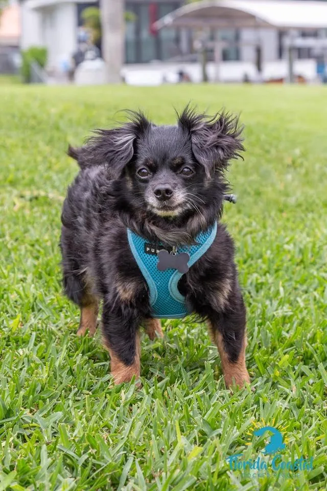 Mudkip  Aka Kip thumbnail 3