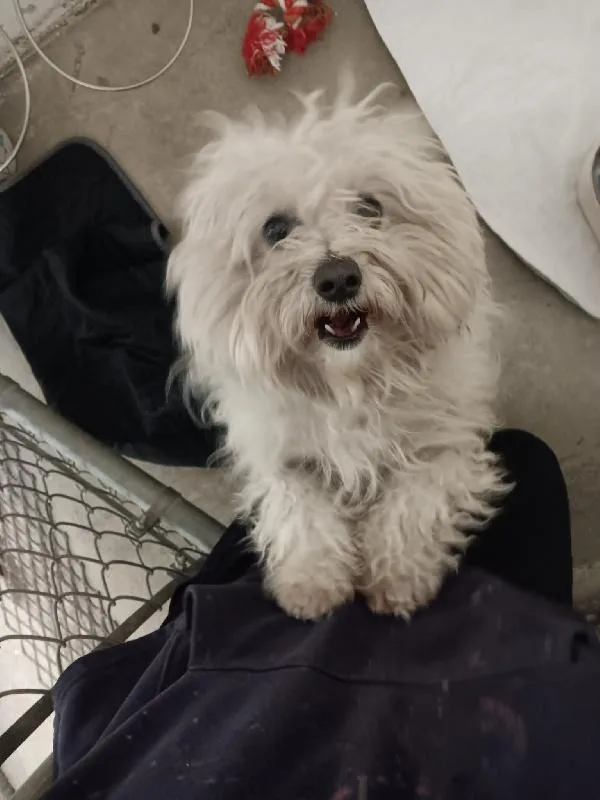 Peter Cottontail thumbnail 2