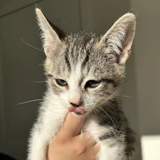 Becks {rr & Bj thumbnail 2