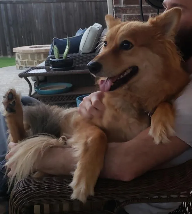Cinnamon thumbnail 2
