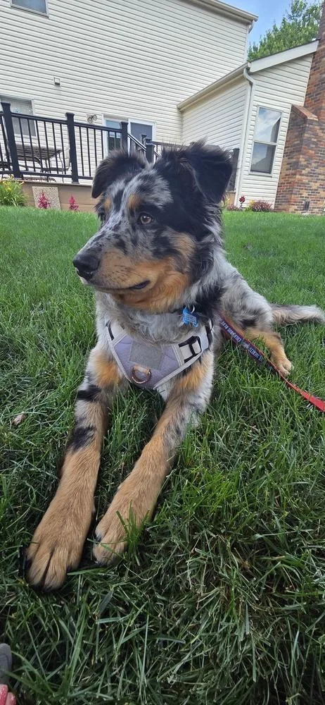 Astro